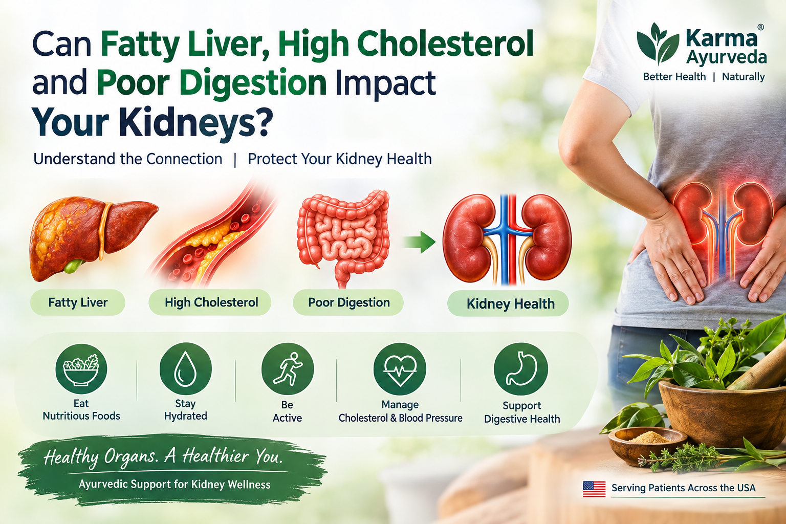 Can Fatty Liver, High Cholesterol and Poor Digestion Impact Your Kidneys?